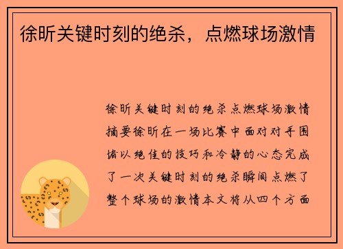 徐昕关键时刻的绝杀，点燃球场激情